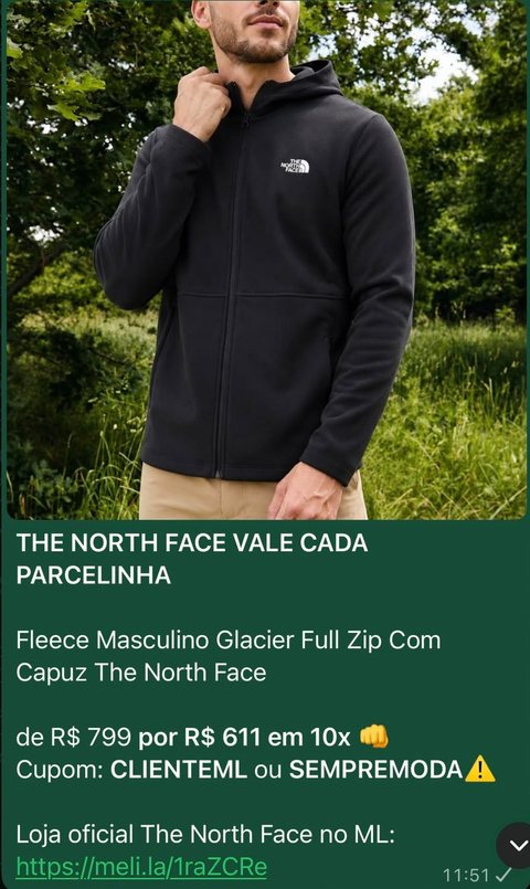 Fleece The North Face
